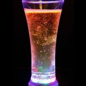 Acrylic Drinking Glass